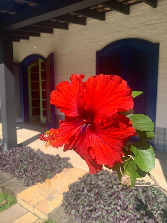 Villa Ubatuba _ Vivencie nossa energia Esterno foto